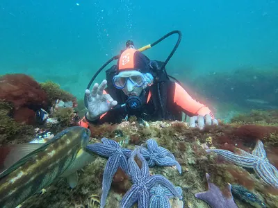 Discover scuba diving