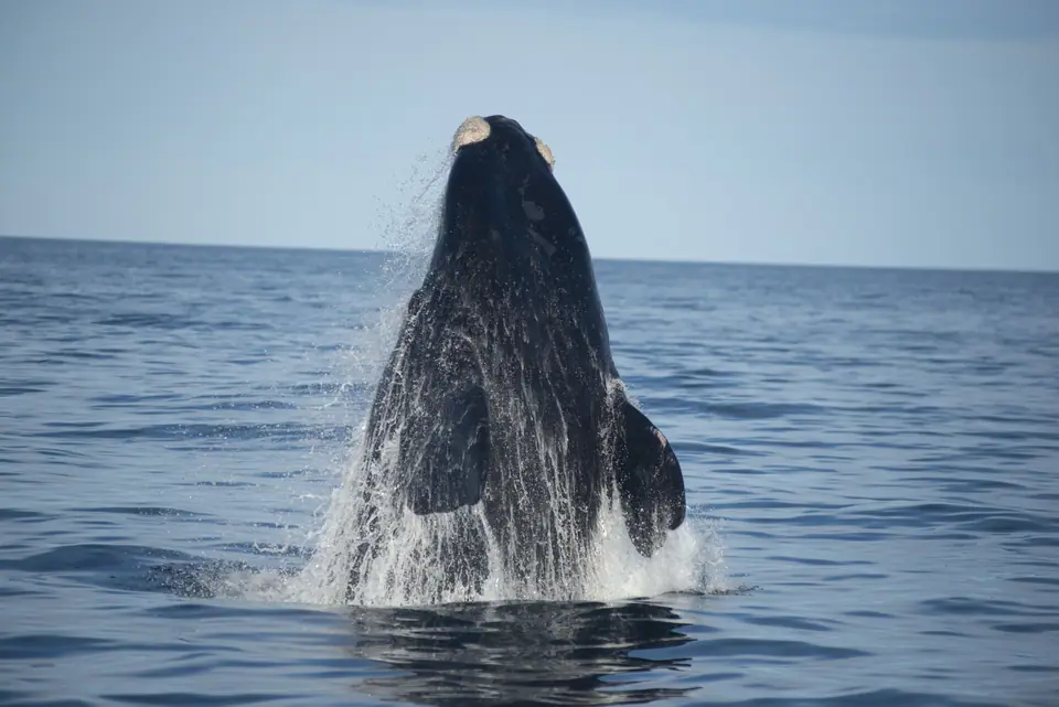 Península Valdés